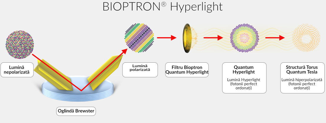 Bioptron